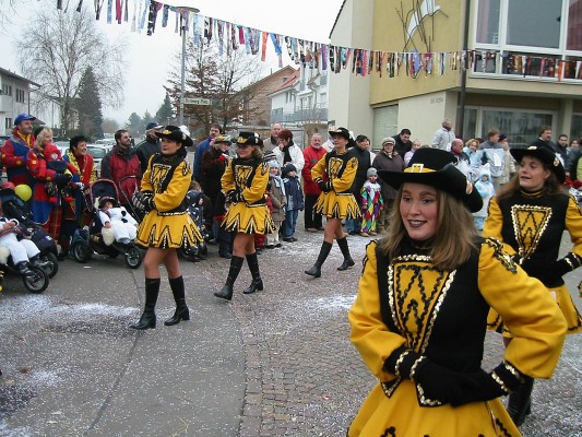 ../Images/2005-01-16_Narrenverein in Gottmadingen_017.jpg